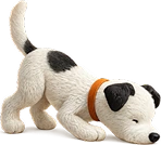 Playful dog sniffing